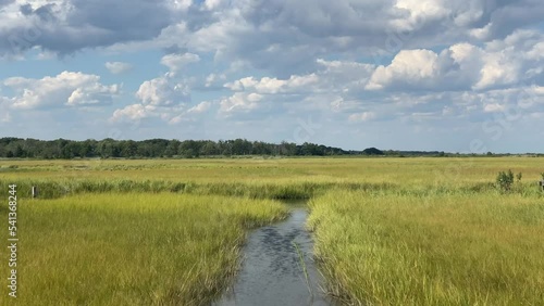 A video of lush swamp lands with a waterway, surrounded by vibrant greenery, and a blue sky featuring cumulus clouds on the horizon.