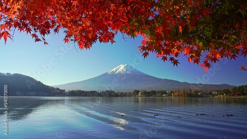 Mountain fuji with red maple in Autumn, Kawaguchiko Lake, Japan