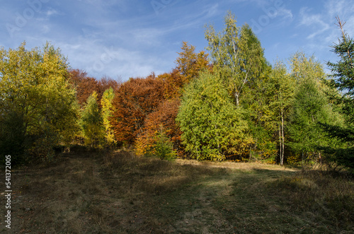 Jesień w Bieszczadach 