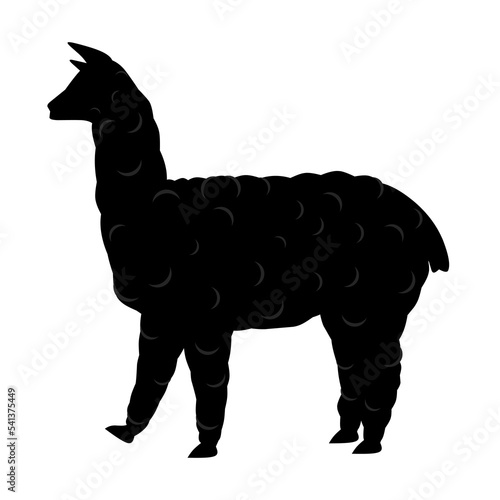 Vector illustration of an alpaca llama on a white background. Great for furry animal logos