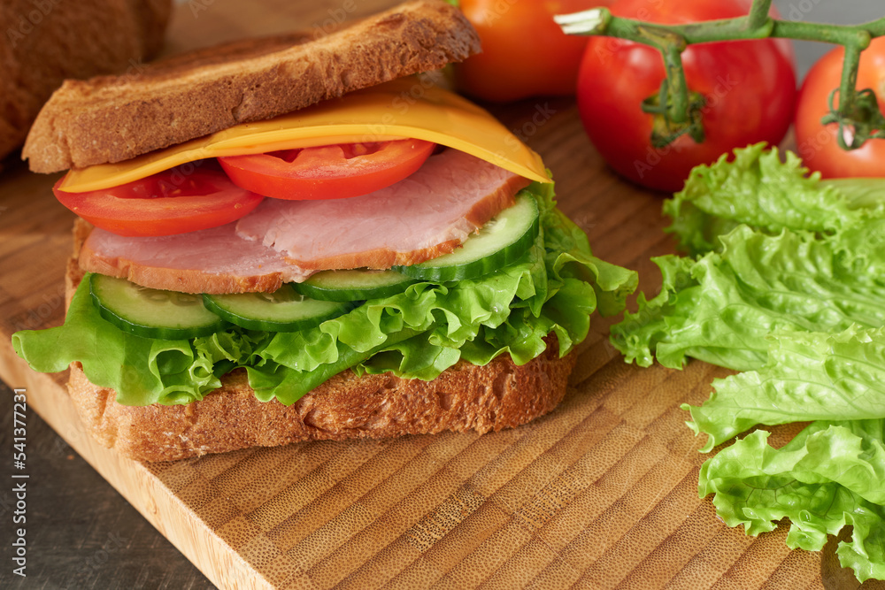 Sandwich with vegetables, meat and succulent greens, side view with tomatoes and lettuce leaves in the background. Sandwich with vegetables, meat and succulent greens, side view with tomatoes and lettuce leaves in the background.