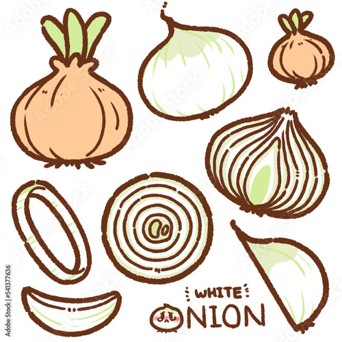 white onion cartoon drawing set