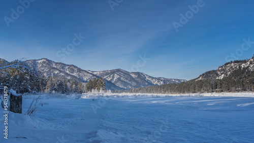 The path is trodden in a snow-covered valley. Frost-covered bushes and coniferous forest are visible ahead. A mountain range against a clear blue sky. Altai