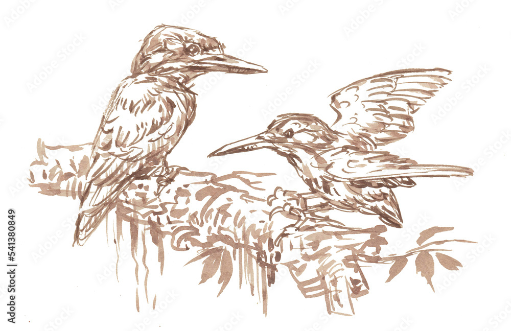 Fototapeta premium hand drawn illustration of a bird coffee painting for card illustration background decoration