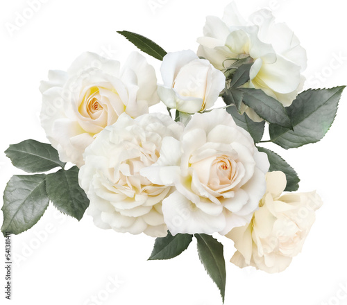 White roses isolated on a transparent background. Png file.  Floral arrangement, bouquet of garden flowers. Can be used for invitations, greeting, wedding card. © RinaM