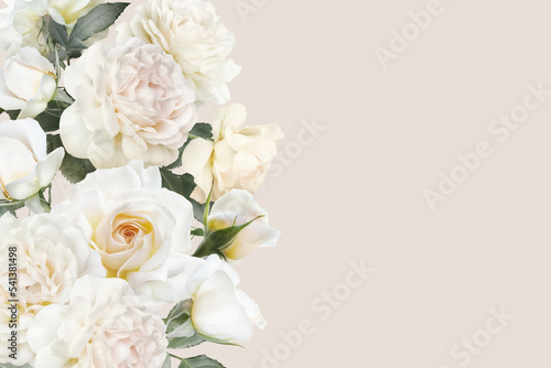 Floral banner, header with copy space. White roses isolated on pastel background. Natural flowers wallpaper or greeting card. © RinaM