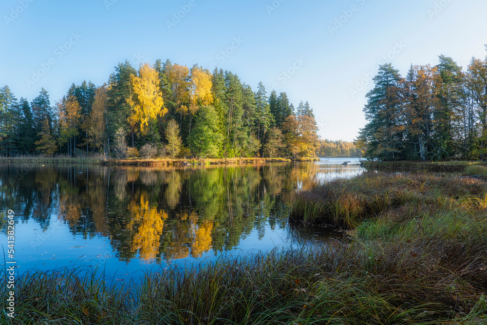 Fototapeta premium River and natural salomon area in autumn. Farnebofjarden national park in north of Sweden.