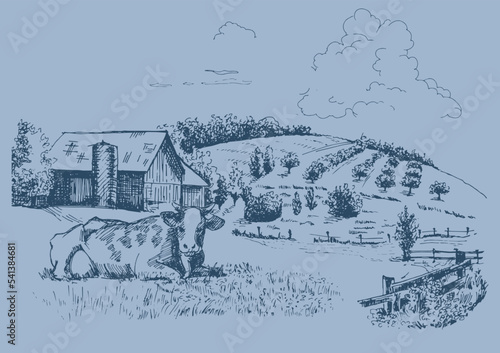Green grass field on small hills. Meadow, alkali, lye, grassland, pommel, lea, pasturage, farm. Rural scenery landscape panorama of countryside pastures. Vector sketch illustration