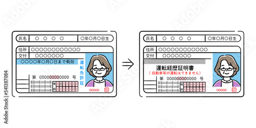 シニア女性の運転免許証と運転経歴証明書のイラストセット