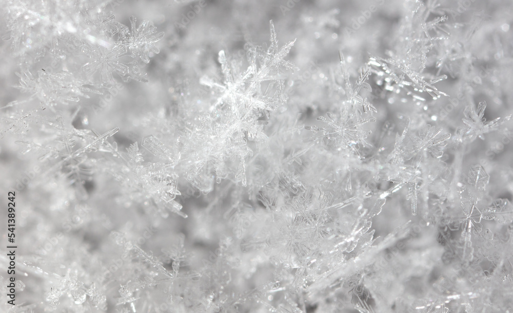 Fototapeta premium White snowflakes in winter as a background.