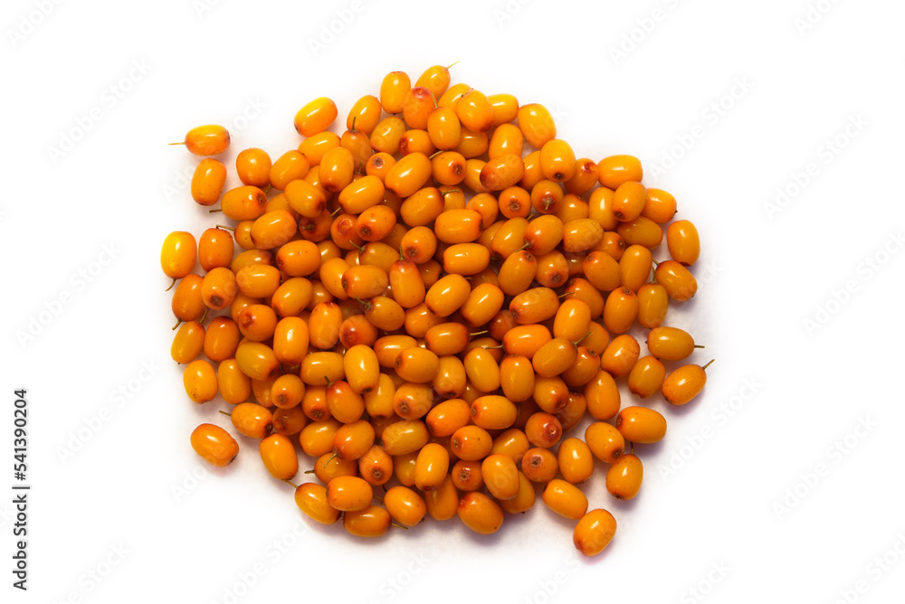 Sea buckthorn berries. The harvested sea buckthorn crop lies on the surface on a white background. Sea buckthorn close-up Sea buckthorn berries. The harvested sea buckthorn crop lies on the surface on a white background. Sea buckthorn close-up