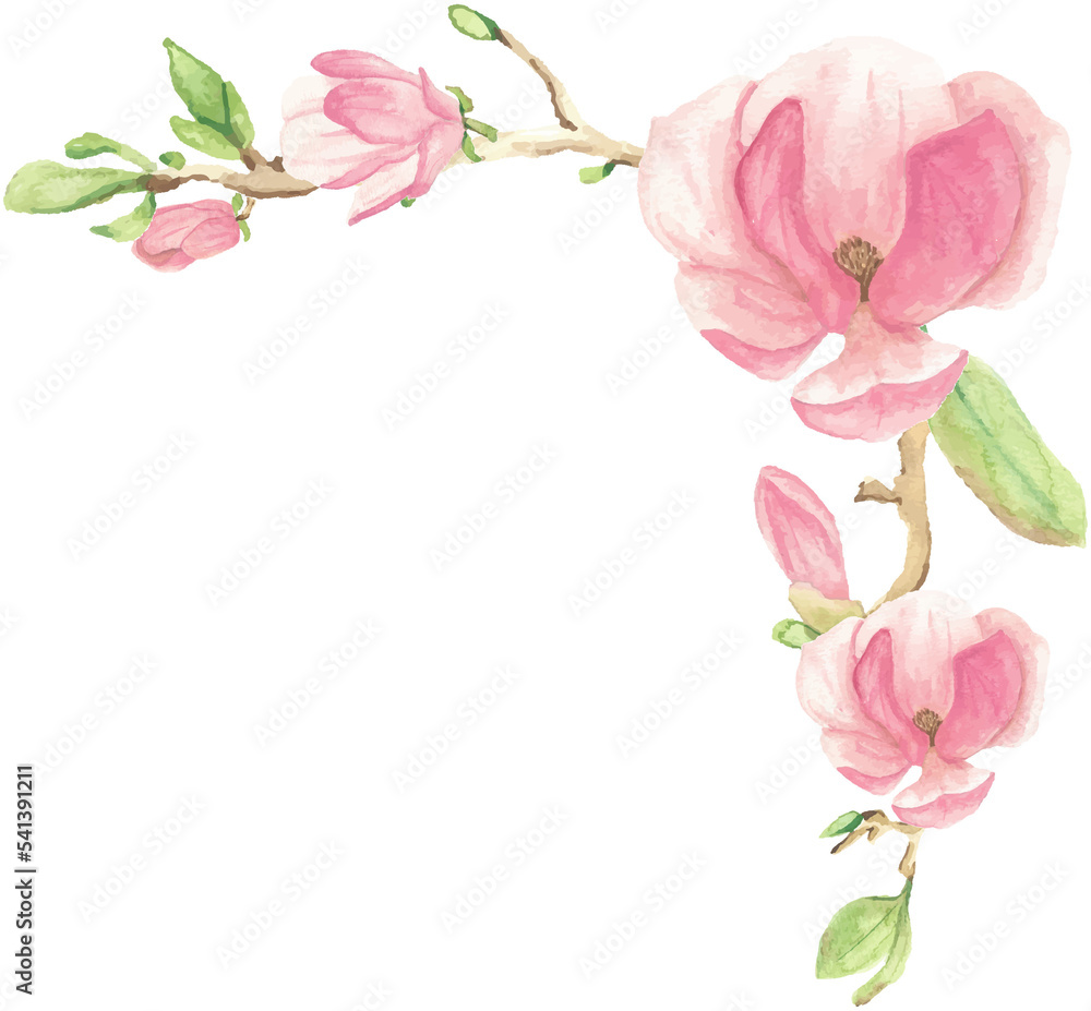 Fototapeta premium watercolor pink blooming magnolia flower and branch bouquet