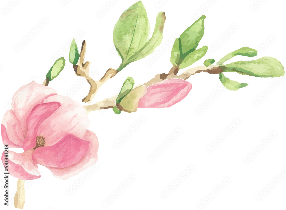 watercolor pink blooming magnolia flower and branch bouquet watercolor pink blooming magnolia flower and branch bouquet