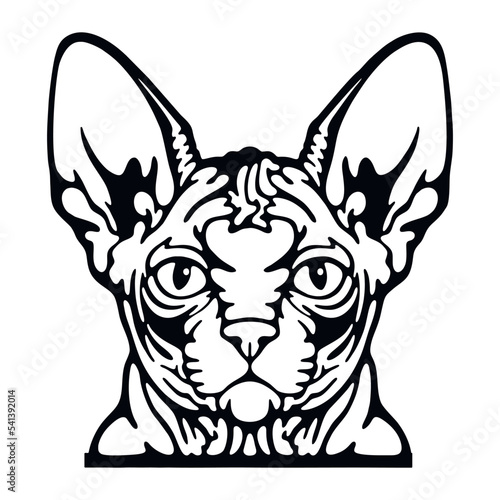 Sphynx Cat Vector, Peeking Cats, Cats Breed, Pet Vector portrait, Cats Head