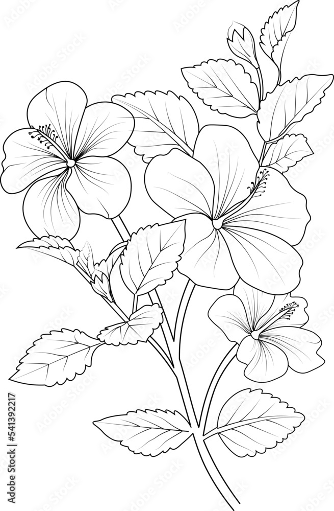 Flowers branch of hibiscus flower Hand drawing vector illustration