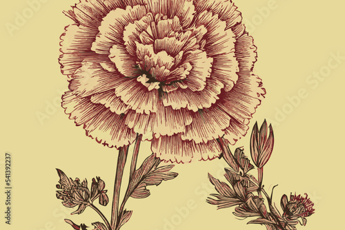 Wallpaper Mural Beautiful Flower Engraving Illustration Abstract Design Torontodigital.ca
