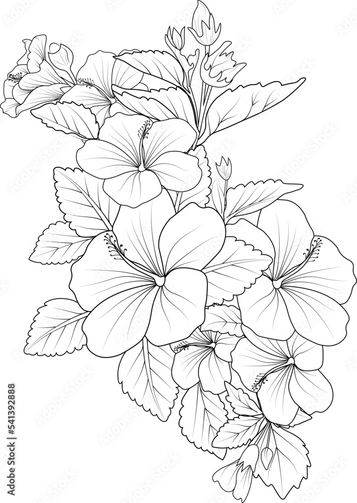 23+ Hibiscus Flower Coloring Page