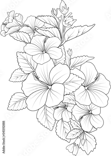 Hibiscus flower coloring pages. Realistic hibiscus flower coloring pages, hand drawn flower hibiscus Black outline drawing perfect coloring page for adults isolate on white background image clipart.