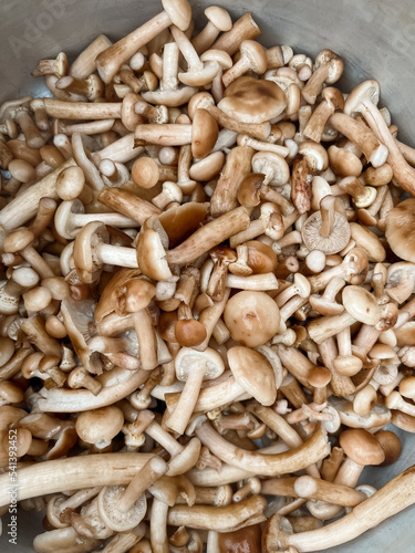 Washed and chopped mushrooms for pickling. Canning mushrooms. Preparations for the winter