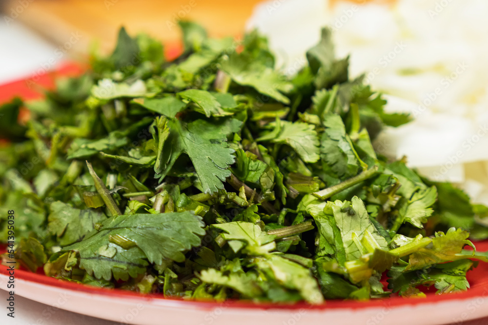 Juicy fresh chopped parsley lying on a red plate. Close-up. Dietary, healthy food. Selective focus. Juicy fresh chopped parsley lying on a red plate. Close-up. Dietary, healthy food. Selective focus.