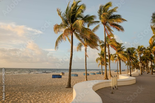 Empty walkway next to a beautiful sandy beach with palm trees in Fort Lauderdale, Florida photo