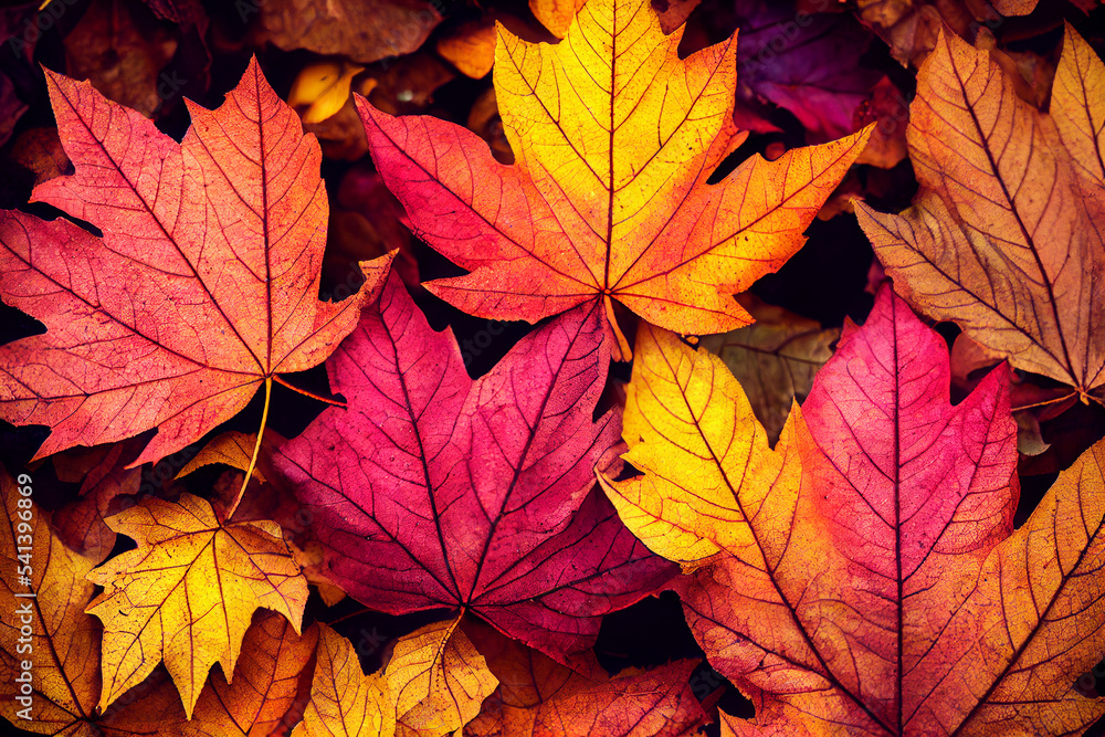Autumn Leaves Background Autumn Leaves Background