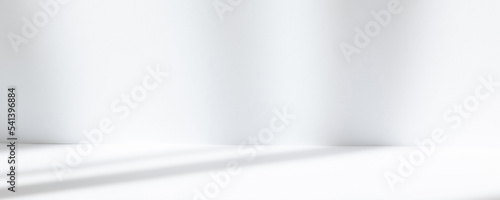 Wallpaper Mural Abstract white studio background for product presentation. Empty room with shadows of window. Display product with blurred backdrop. Torontodigital.ca
