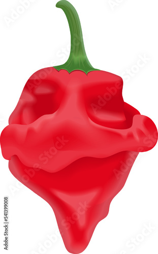 Red scotch bonnet peppers. Capsicum chinense. Hot chili pepper. Fresh organic vegetables. Vector illustration isolated on white background.