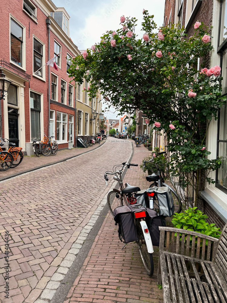 Beautiful view of city street with bicycles and pink rose bush Beautiful view of city street with bicycles and pink rose bush