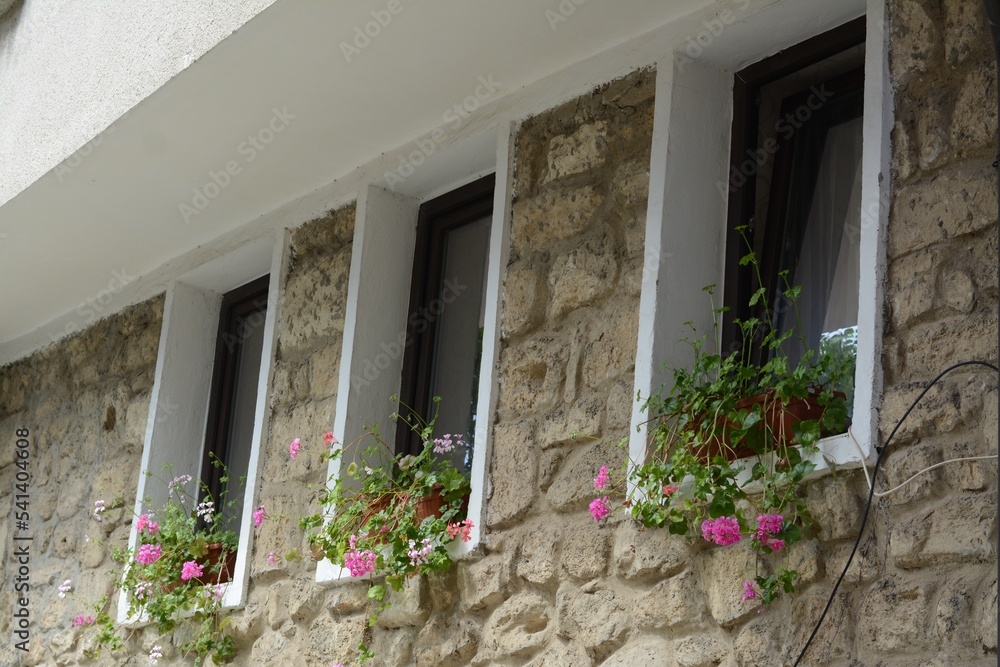 Exterior of beautiful residential building with small windows and flowers in pots