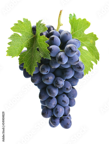 Photographie bunch of grapes