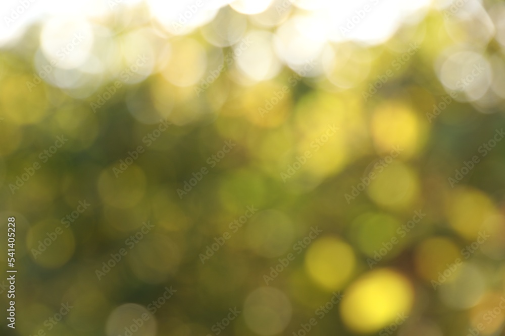 Blurred view of green trees outdoors. Bokeh effect Blurred view of green trees outdoors. Bokeh effect