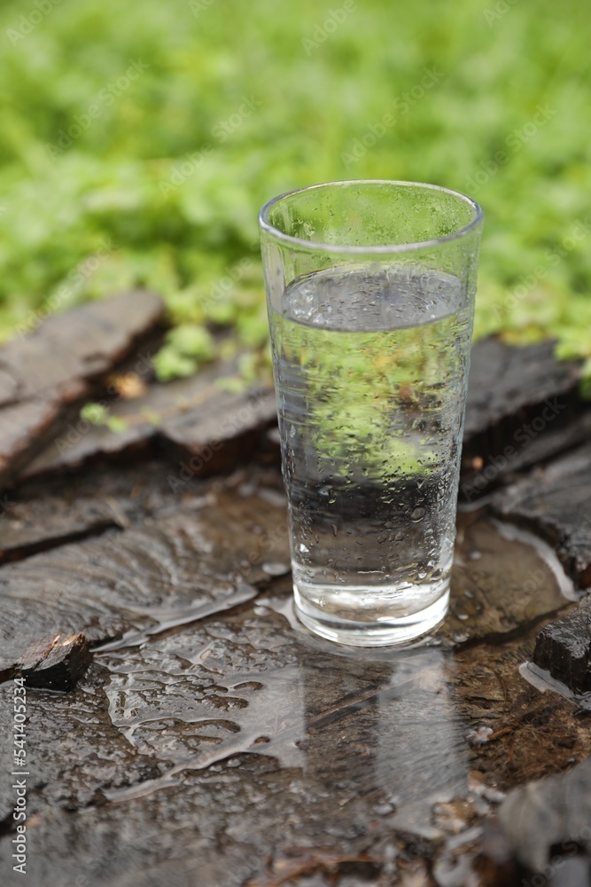 Glass of fresh water on wooden stump in green grass outdoors Glass of fresh water on wooden stump in green grass outdoors