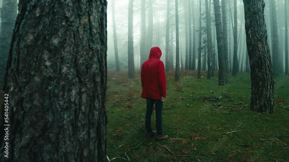 Alone Man with red jacket in the foggy woods Alone Man with red jacket in the foggy woods