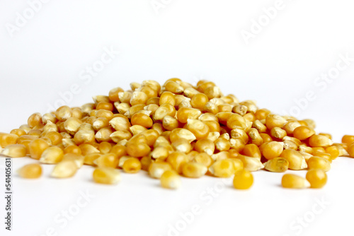 heap of corn seed