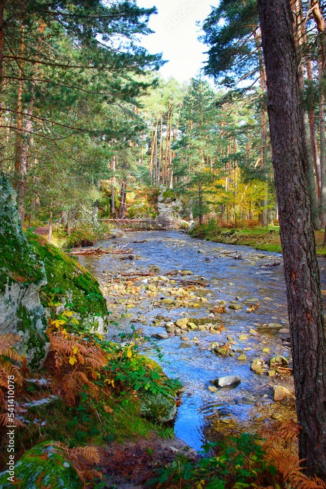 View of the Eresma River as it passes through the area of Boca del Asno, Segovia, Spain. View of the Eresma River as it passes through the area of Boca del Asno, Segovia, Spain.