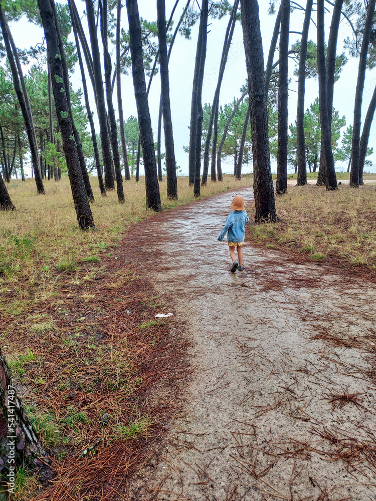 boy running through the forest1 boy running through the forest1