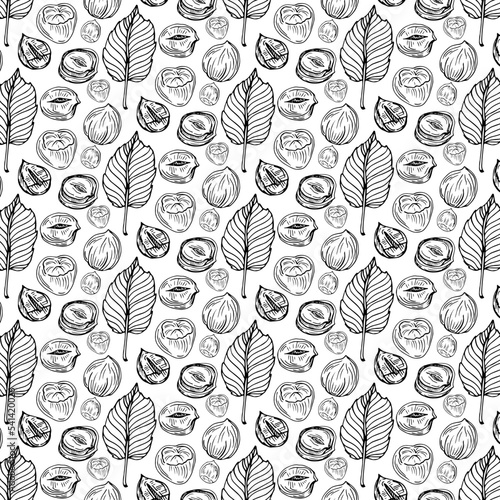 Seamless vector pattern with linear outline hazelnut. Sketches of nuts in vintage style