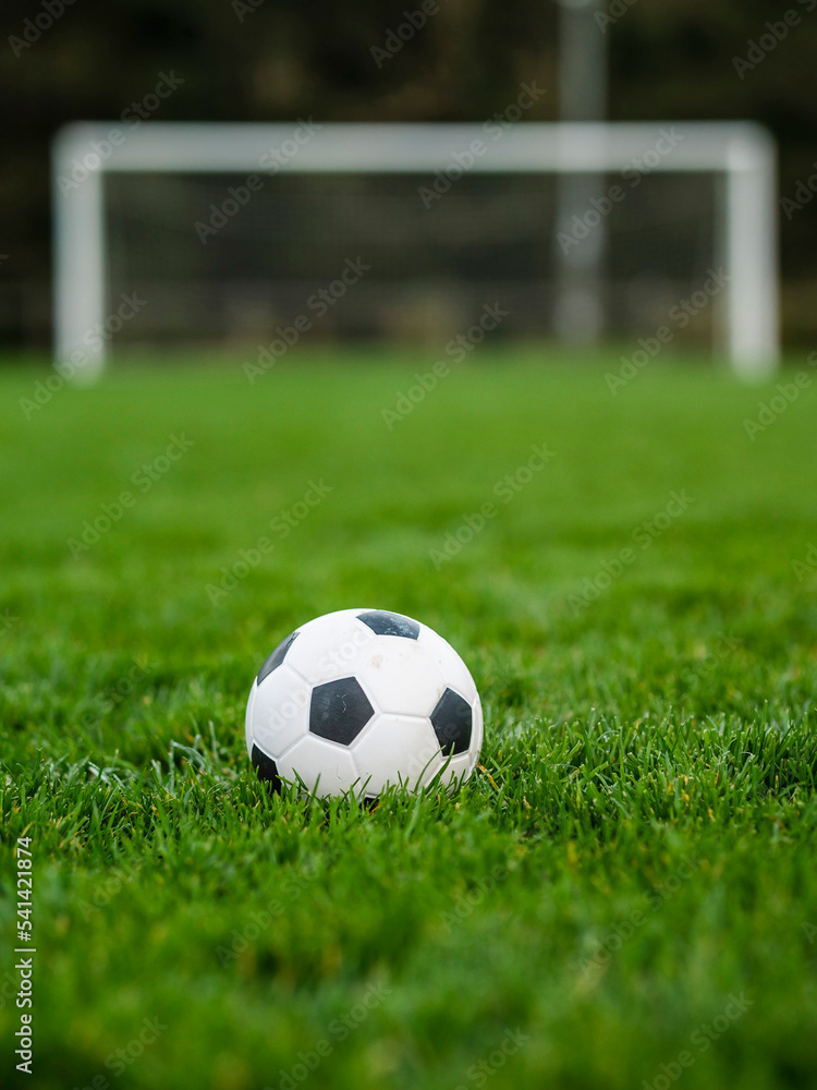 Fototapeta premium Classic soccer of football ball on the dark green grass field in focus. Goal post out of focus in the background. World wide popular sport activity.