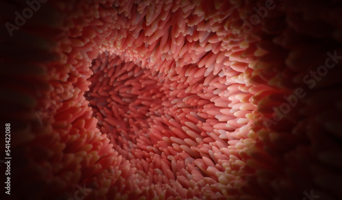 Microvilli on surface of digestive system or intestinal tract. 3D rendering.