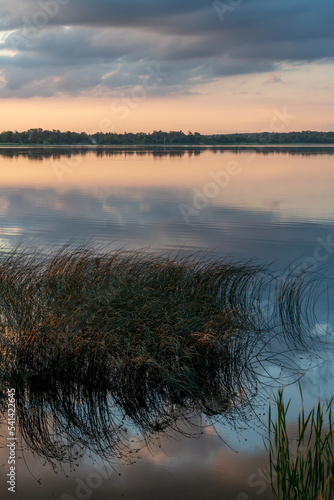 Beautiful colors of a tranquil sunset with reeds at North Turtle Lake in rural Minnesota  USA  