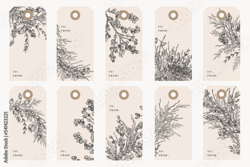 Fotografia Set of tags. Holly and juniper. Black