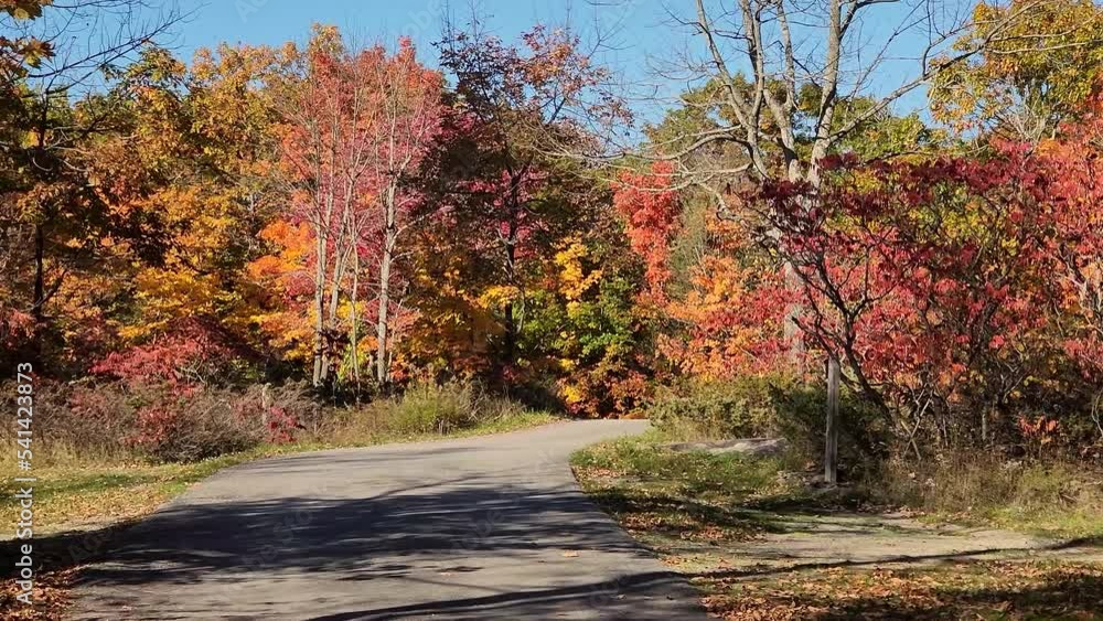 Slow and steady right to left tracking shot of forest path carved through beautiful landscape of autumn trees of Canadian National Park, Ontario Slow and steady right to left tracking shot of forest path carved through beautiful landscape of autumn trees of Canadian National Park, Ontario