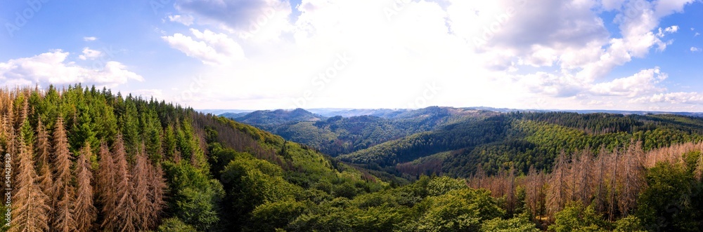 Fototapeta premium sauerland forest hills panorama in germany
