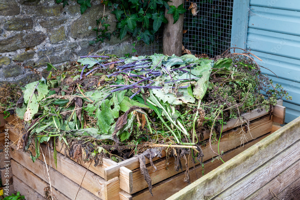 Rotting heap of vegetation garden waste to be recycled in the spring as