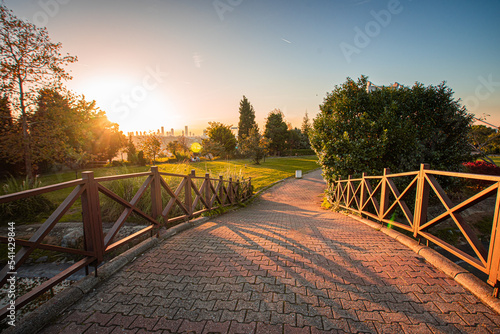 wooden bridge in autumn park
