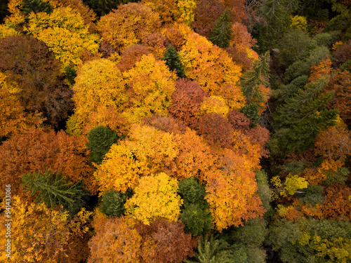 Top aerial view of country road in autumn forest