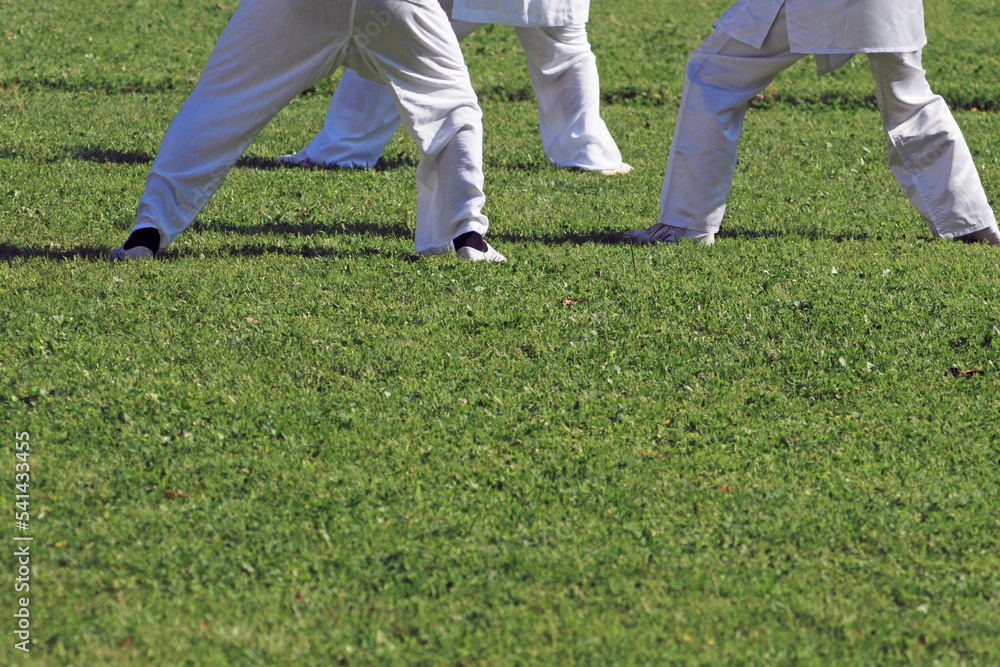 Obraz premium Low section of people practicing Tai Chi on lawn