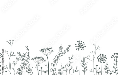 Floral vector seamless border. Background with plants and leaves