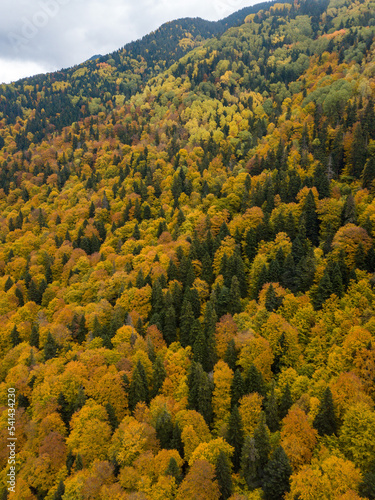 Autumn time in Bulgaria  mountains  Drone view 